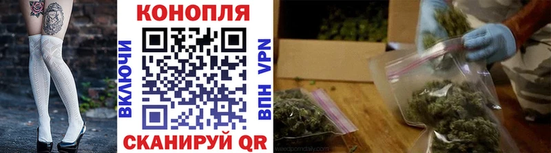 Бошки марихуана семена Купить где Томилино